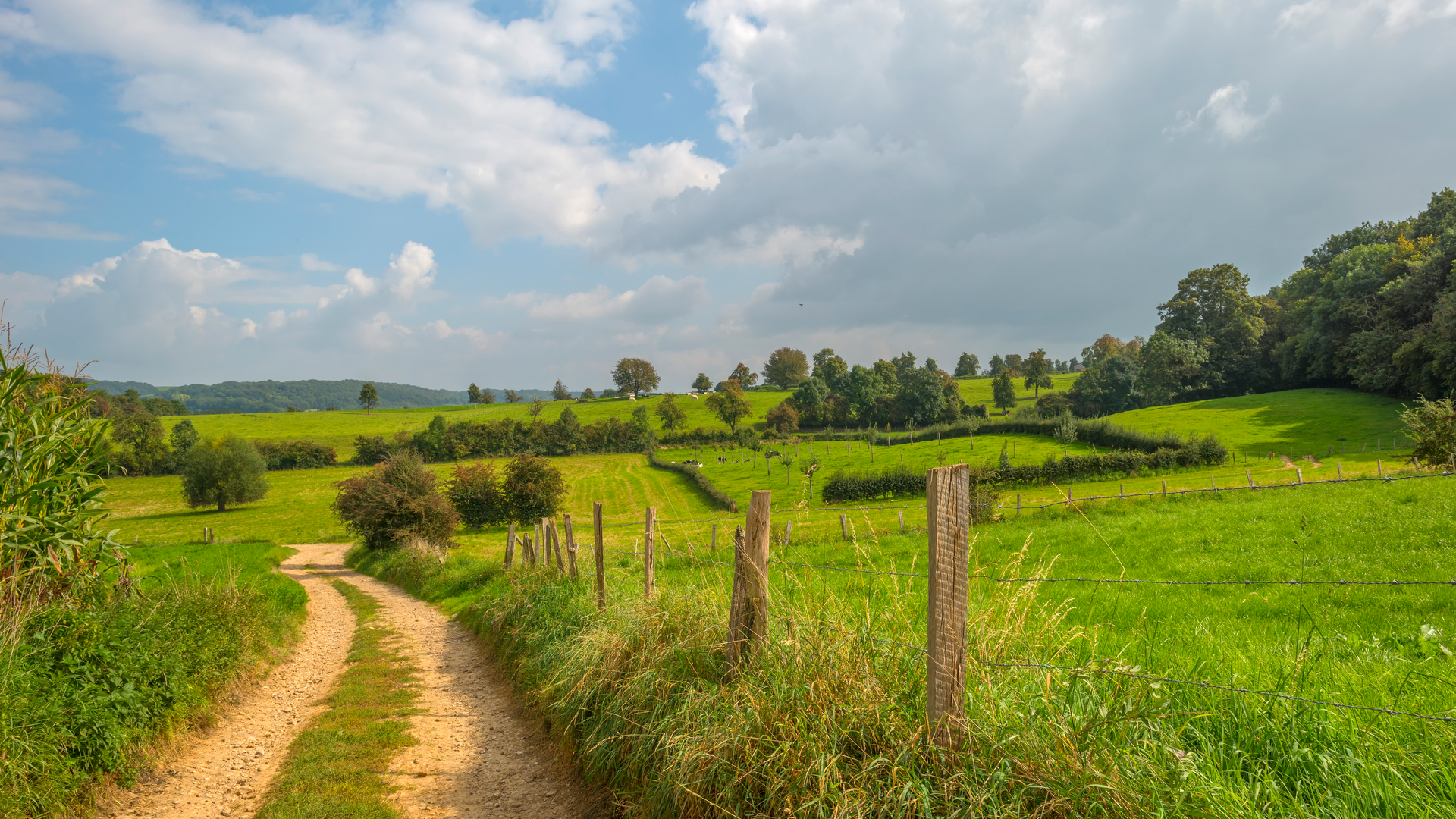 DELTA Fiber wants to significantly reduce greenhouse gas emissions in its supply chain